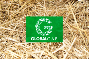 global gap certificaat