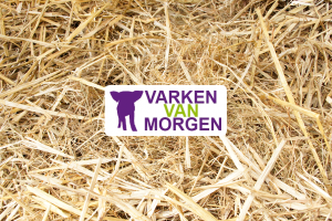 varken van morgen certificaat